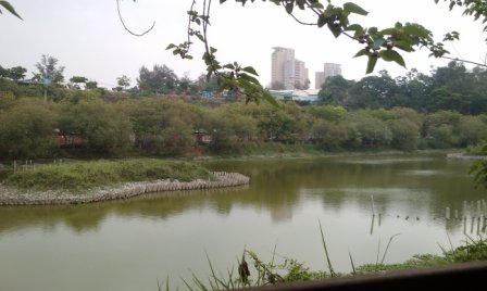 鳥松濕地公園5.jpg 鳥松濕地公園5.jpg