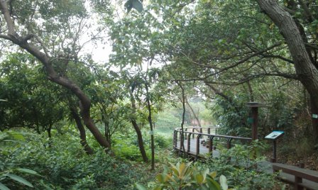 鳥松濕地公園2.jpg 鳥松濕地公園2.jpg