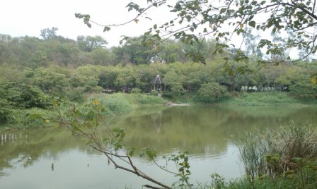 鳥松濕地公園3.jpg 鳥松濕地公園3.jpg