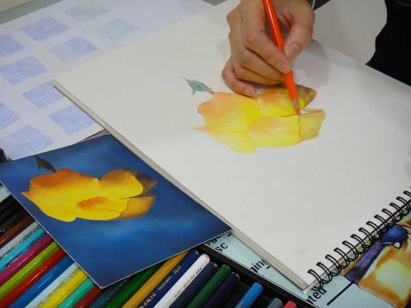 》學生色鉛花卉光影混色練習(1)