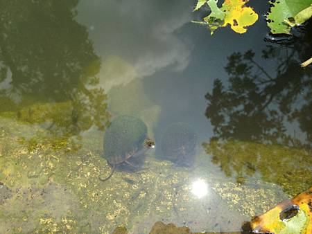 IMG_1317.JPG IMG_1317.JPG