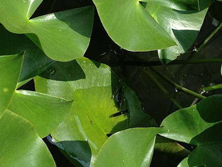 IMG_1319.JPG IMG_1319.JPG