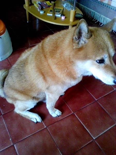 IMG_20140530_095956 IMG_20140530_095956