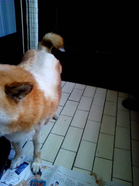 IMG_20140530_102610 IMG_20140530_102610