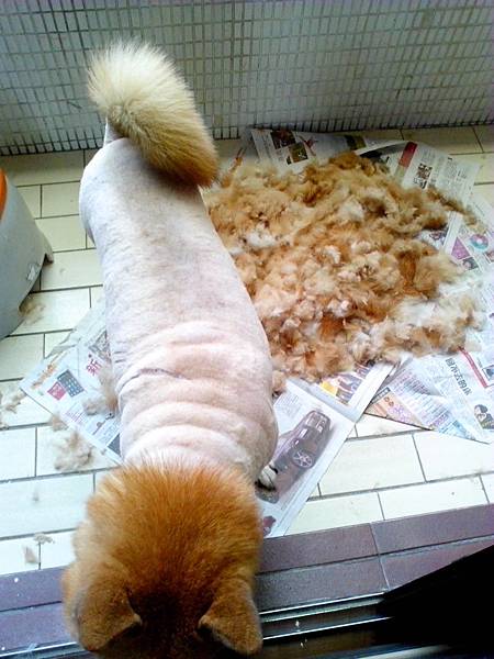 IMG_20140530_112831 IMG_20140530_112831