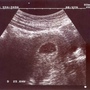 img015.jpg img015.jpg