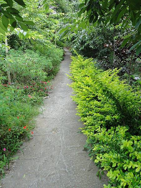 DSC07512.JPG