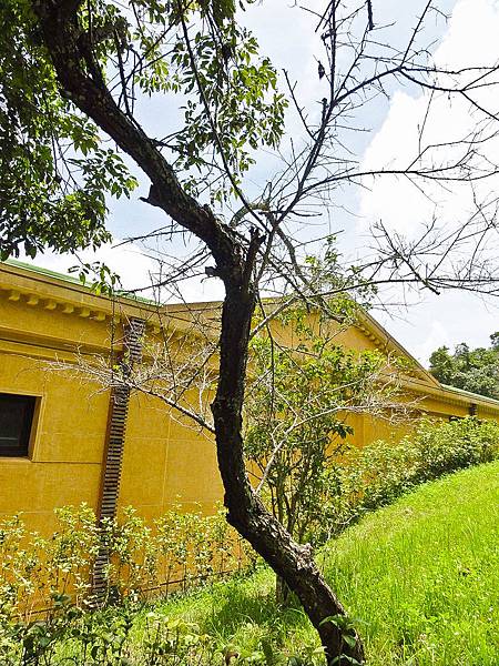 DSC08921.JPG DSC08921.JPG