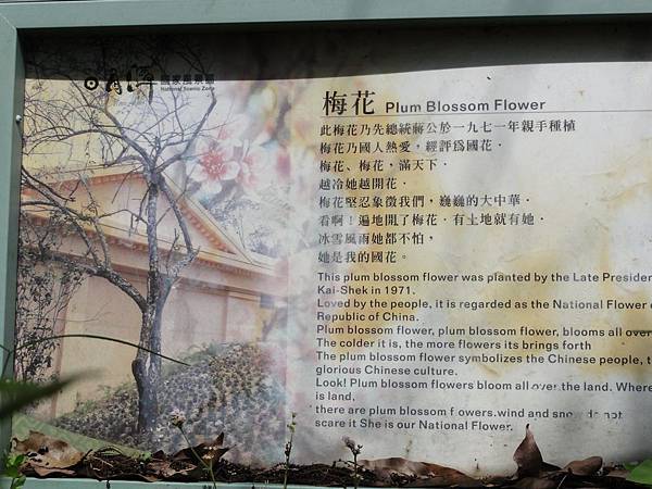 DSC08922.JPG DSC08922.JPG