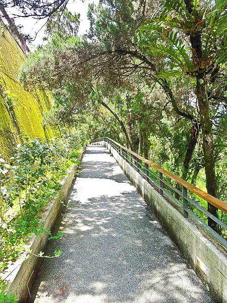 DSC08923.JPG DSC08923.JPG