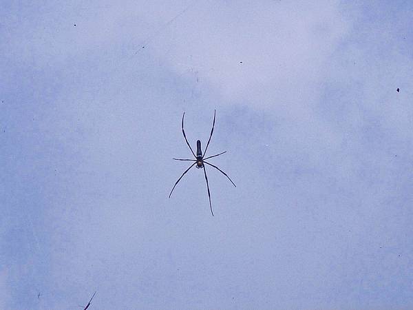 DSC08924.JPG DSC08924.JPG