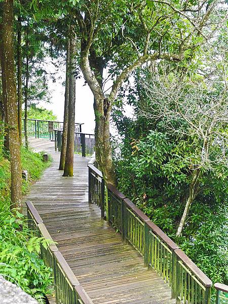 DSC08934.JPG DSC08934.JPG