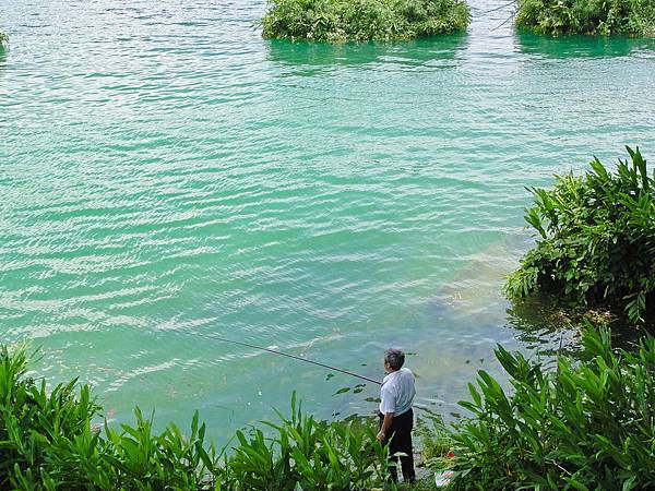 DSC08935.JPG DSC08935.JPG