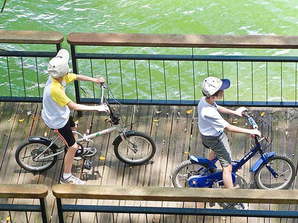 DSC08937.JPG DSC08937.JPG