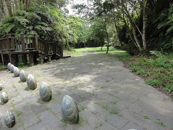 DSC08958.JPG DSC08958.JPG