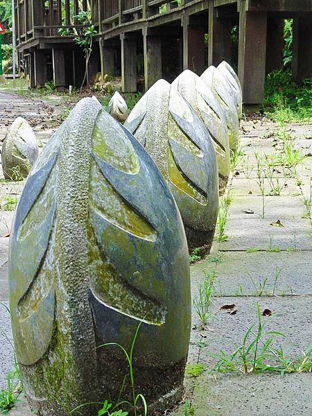 DSC08960.JPG DSC08960.JPG