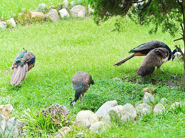 DSC08963.JPG DSC08963.JPG