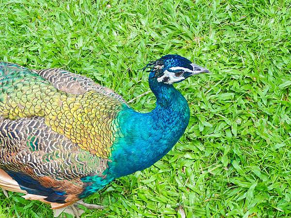 DSC08964.JPG DSC08964.JPG