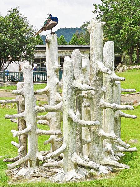 DSC08966.JPG DSC08966.JPG