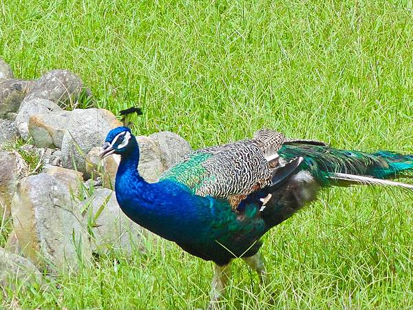 DSC08965.JPG DSC08965.JPG