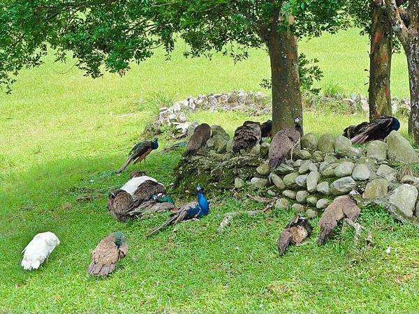 DSC08969.JPG DSC08969.JPG