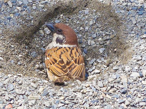 DSC08970.JPG DSC08970.JPG