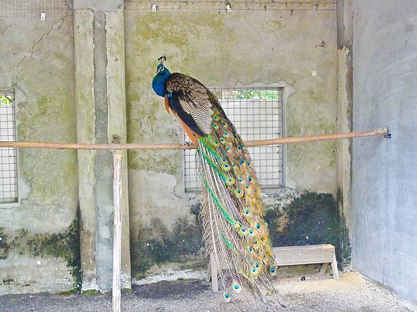 DSC08971.JPG DSC08971.JPG