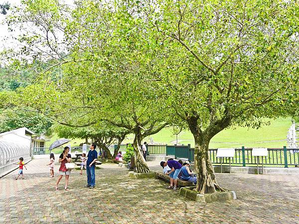 DSC08972.JPG DSC08972.JPG