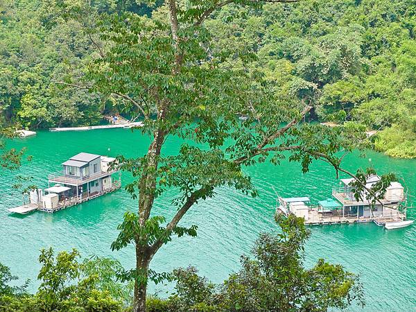 DSC08980.JPG DSC08980.JPG