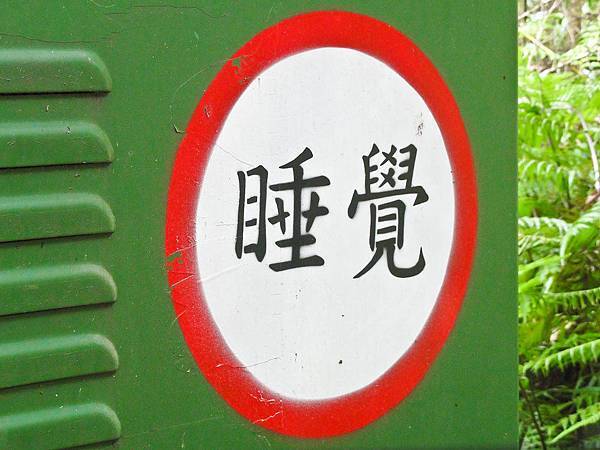 DSC08981.JPG DSC08981.JPG