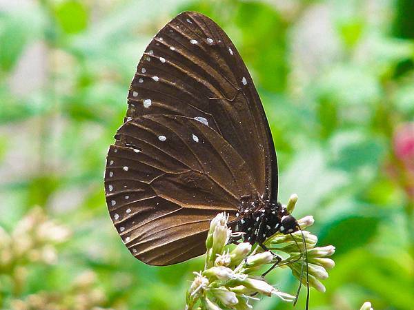 DSC09002.JPG DSC09002.JPG