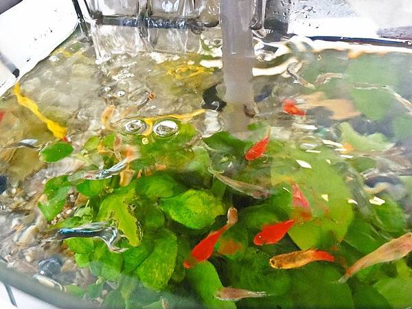 DSC09033.JPG DSC09033.JPG