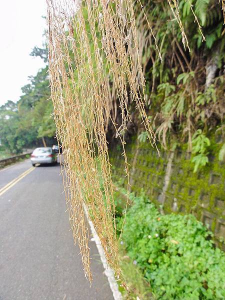 DSC09059.JPG DSC09059.JPG