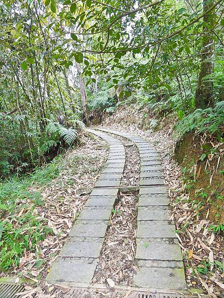 DSC09063.JPG DSC09063.JPG