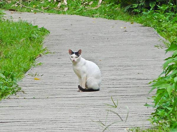 DSC09088.JPG DSC09088.JPG