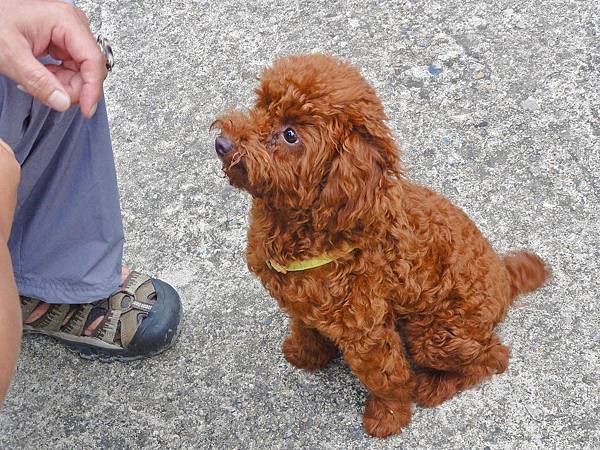 DSC09108.JPG DSC09108.JPG