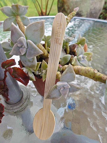 DSC09109.JPG DSC09109.JPG