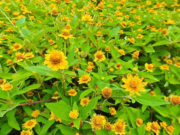 DSC09149.JPG DSC09149.JPG