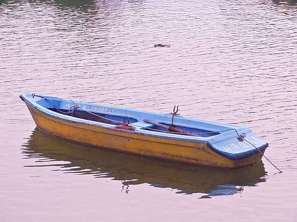 DSC09157.JPG DSC09157.JPG