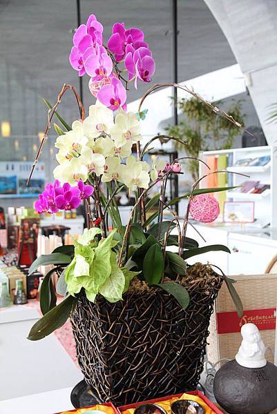 IMG_0440.JPG IMG_0440.JPG