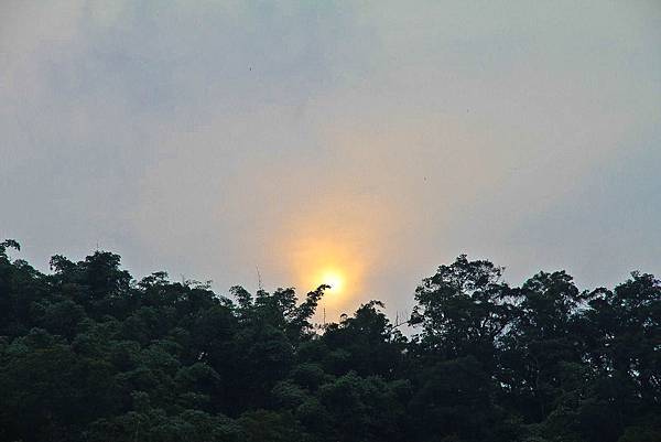 IMG_0452.JPG IMG_0452.JPG