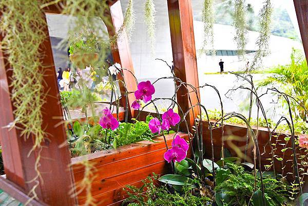 IMG_0461.JPG IMG_0461.JPG