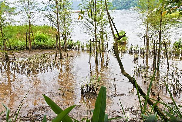 IMG_0487.JPG IMG_0487.JPG