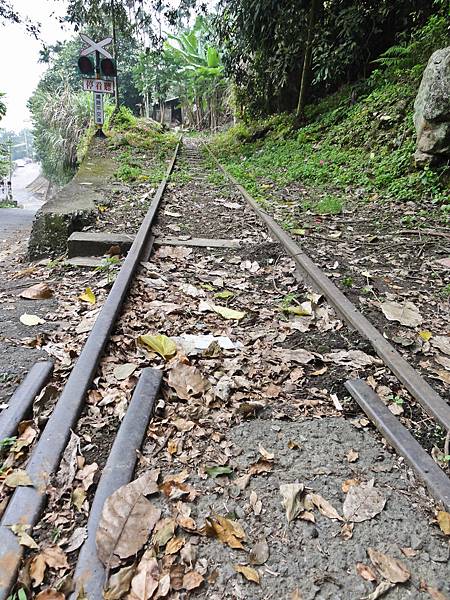 DSC01275.JPG DSC01275.JPG