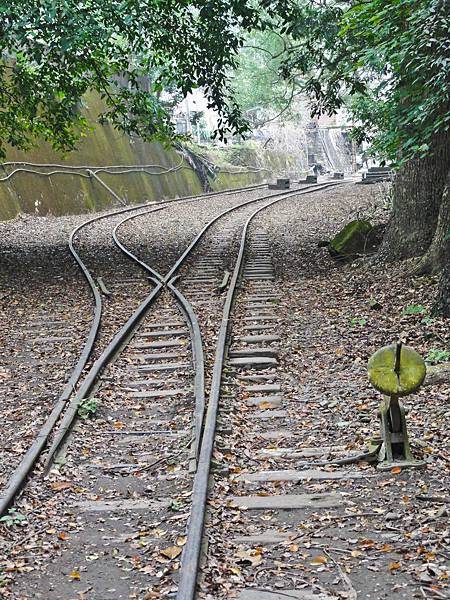 DSC01276.JPG DSC01276.JPG