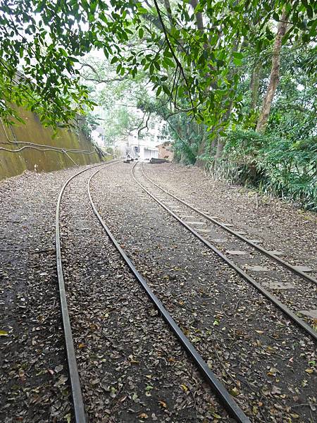 DSC01272.JPG DSC01272.JPG