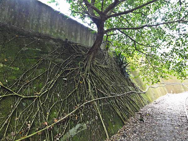 DSC01277.JPG DSC01277.JPG