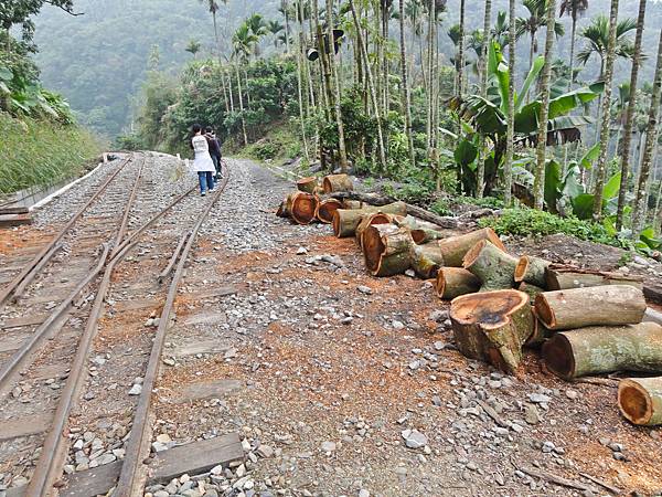 DSC01288.JPG DSC01288.JPG