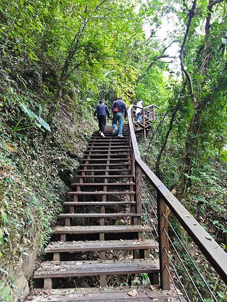 DSC01309.JPG DSC01309.JPG