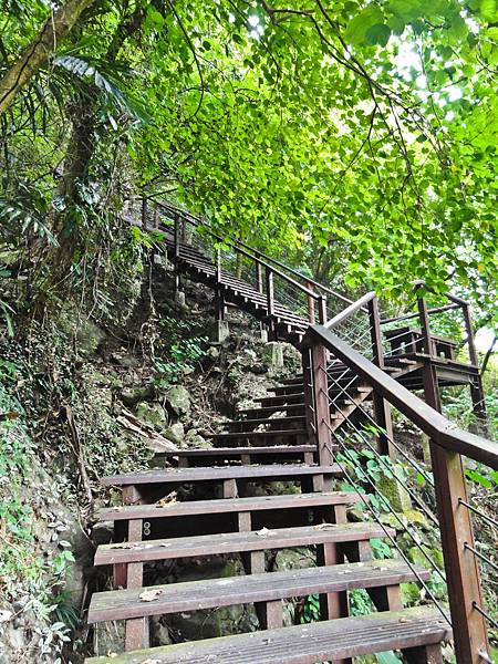 DSC01310.JPG DSC01310.JPG